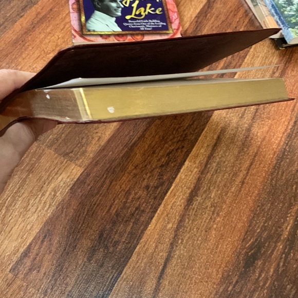 Set of 2: My Utmost for His Highest leather bound journal and JohnG Lake sayings - Picture 6 of 6